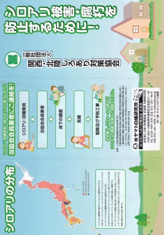 日本しろあり対策協会とのコラボチラシ ヤマトシロアリ研究所