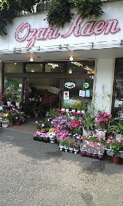 尾崎花園 店舗イメージ