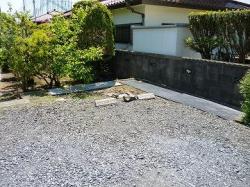 Before