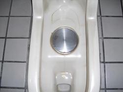 ܹ