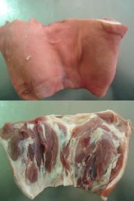 TS Meat