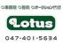 Lotus�ʥ���������