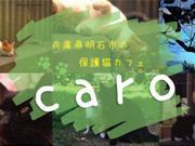 ǭΤ罸