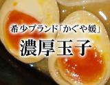 顼ɧ