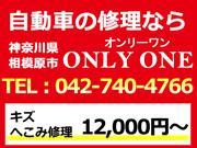 ONLY ONEʥ꡼ˤɾȽ¿ͳ 