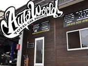 AUTO WORLD (ȥ)