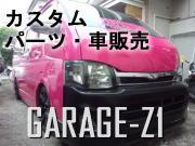 GARAGE-Z1
