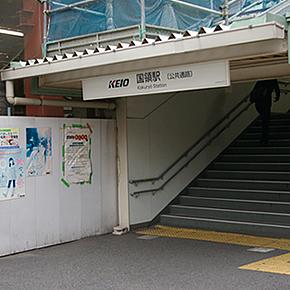 ˤˤ蝹