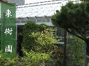 東樹園