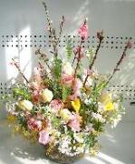 Florist Tulips（チューリップス）